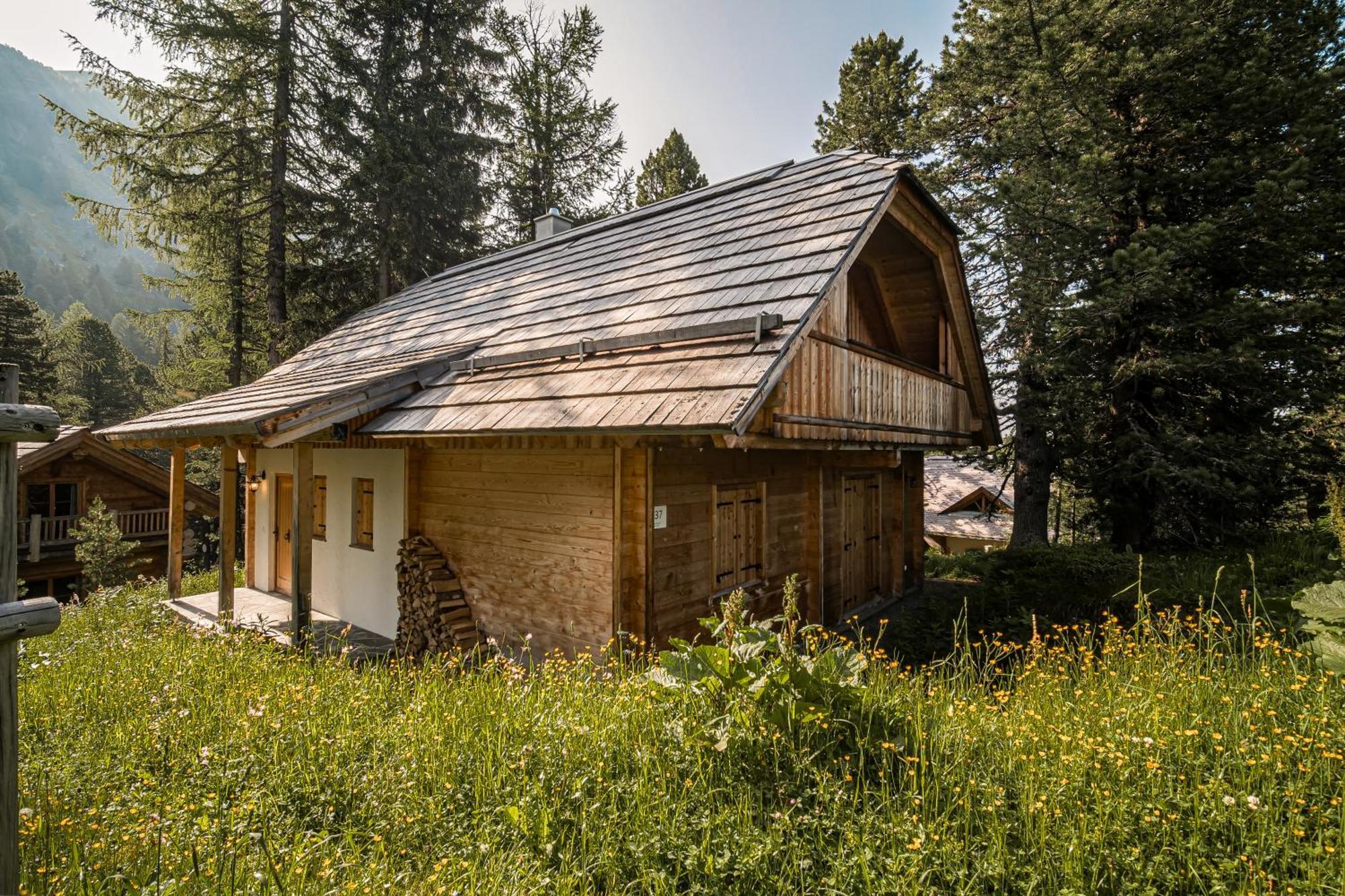 Alpin-Huetten Auf Der Turracherhoehe Haus Murmeltier By S4Y Turracher Hohe Dış mekan fotoğraf